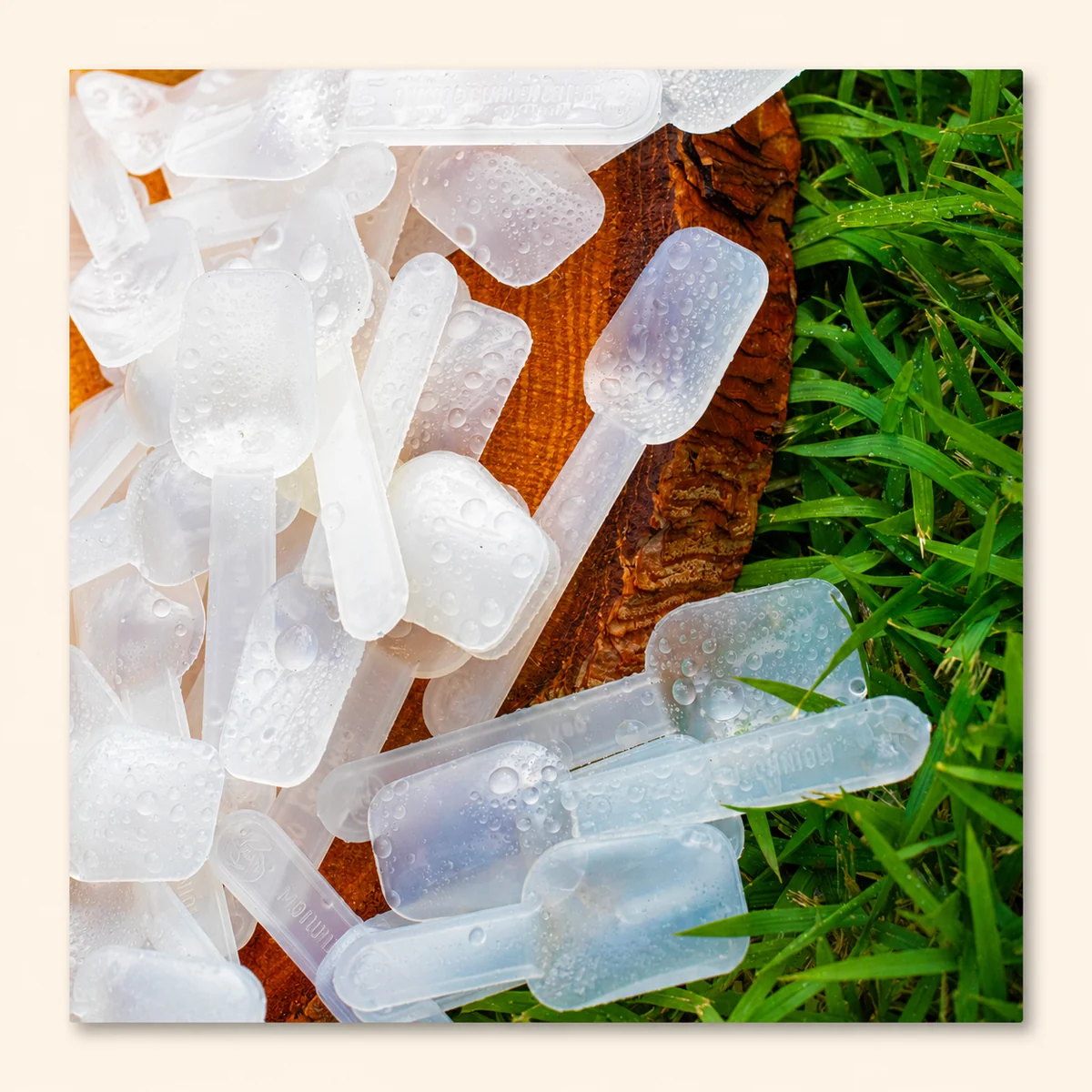 pazinha-sorvete-cores